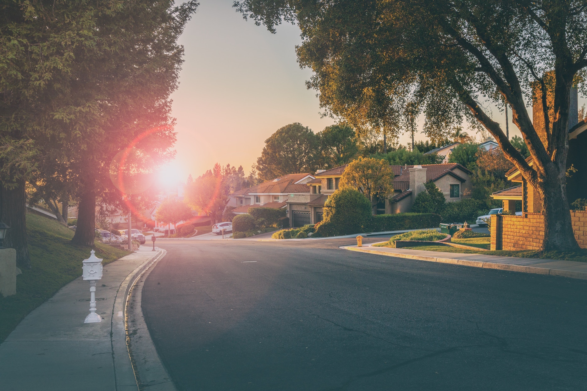 Quaint neighborhood street with houses